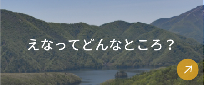 えなってどんなところ？