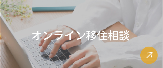 オンライン移住相談